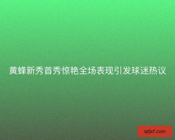 黄蜂新秀首秀惊艳全场表现引发球迷热议